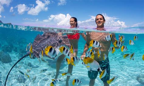 Bora Bora: Il Paradiso Terrestre Nel Cuore Del Pacifico - Shining News ...