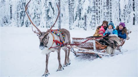 Santa Claus Reindeer in Santa Claus Village, Rovaniemi - Visit Rovaniemi