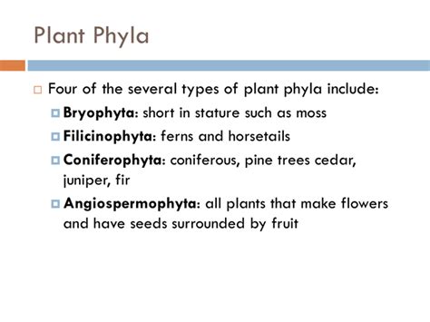 Classification