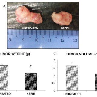 Tumor size, weight (g) and volume (cm 3 ), obtained from 4T1 ...