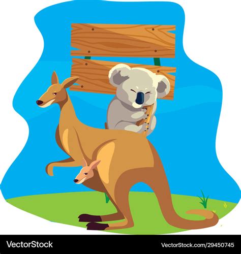 Difference Between Kangaroo And Koala Clipart