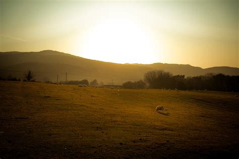 Farm Land During Sunset · Free Stock Photo