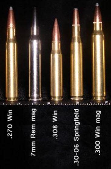 7mm 08 Rem Mag Vs 30 06 Springfield Cartridge Comparison Sportsman ...