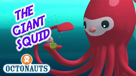 The Giant Squid Octonauts Wiki Fandom Powered By Wikia