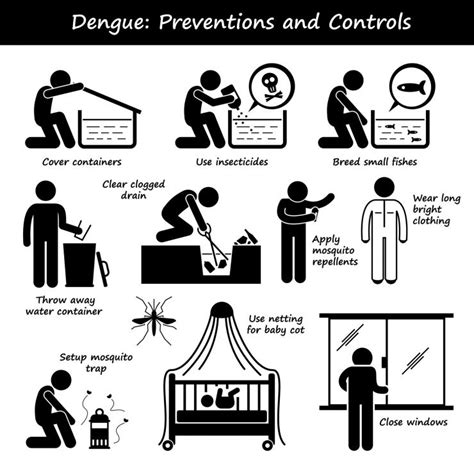 Stay Safe from Dengue Mosquitoes