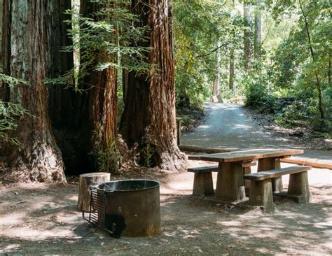 Portola-Redwoods-State-Park-Camping | California Wanderland