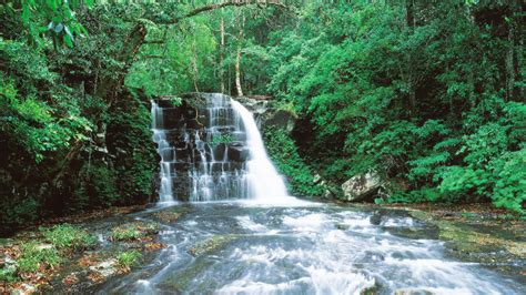 Finding the top 10 waterfalls in the Barrington Coast | Barrington Coast