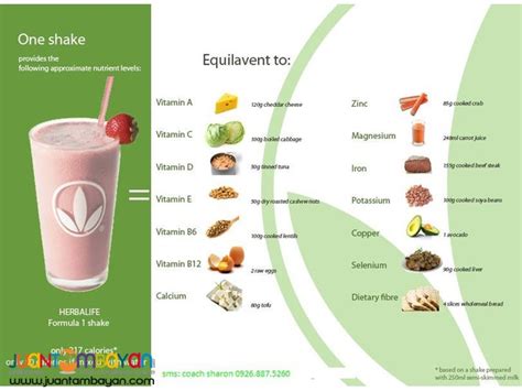 Herbalife Shake Program, For Loss Weight