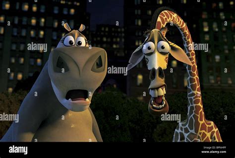 GLORIA THE HIPPO & MELMAN THE GIRAFFE MADAGASCAR (2005 Stock Photo ...