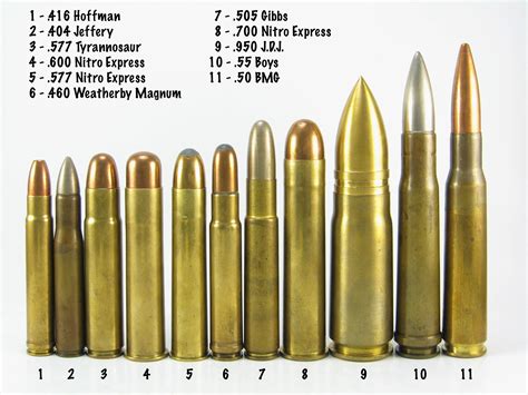 Shooting the largest caliber center fire rifle ever made. (.950 JDJ ...