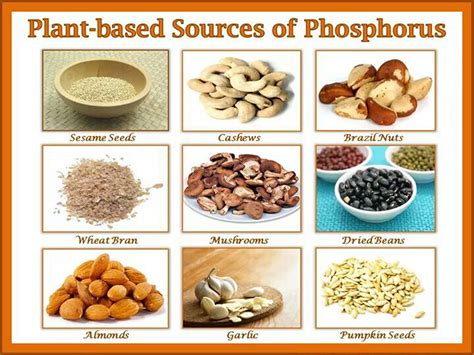 What is Phosphorus - Foods High In Phosphorus, Benefits & Functions