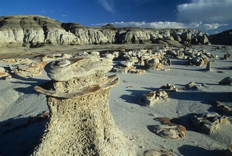 Bisti/De-Na-Zin Wilderness Area | Bureau of Land Management