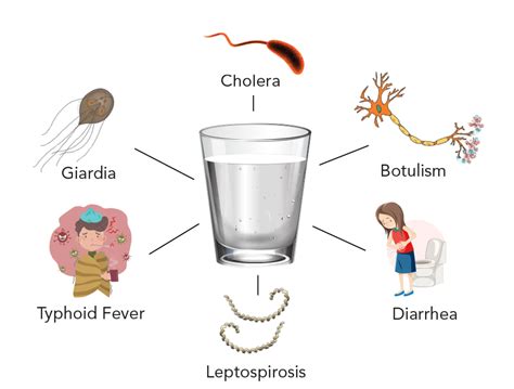 Common Waterborne Diseases in India: Treatment & Prevention