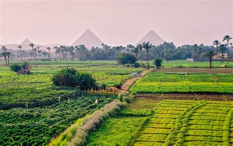 Egypte : 13 PME et ETI prospectent le marché de la modernisation ...