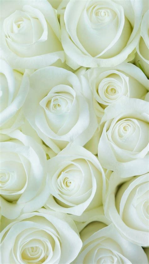 White Flowers Wallpapers - Wallpaper Cave