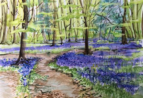 My painting of the bluebell woods at Slindon. | Watercolor tree ...