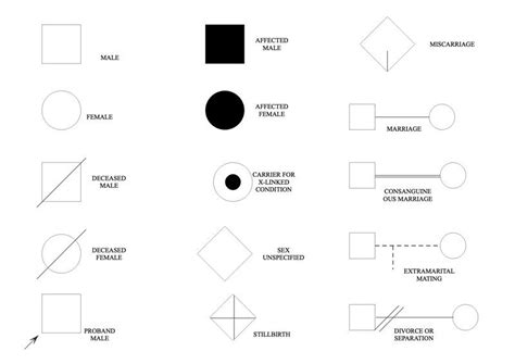 Everything You Need To Know About Pedigree Chart | EdrawMax Online