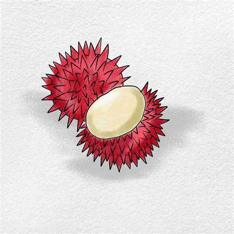 Rambutan Drawing - HelloArtsy