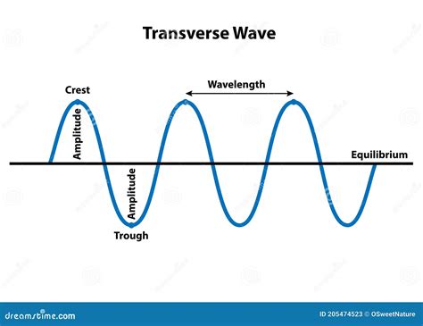 Draw A Transverse Wave