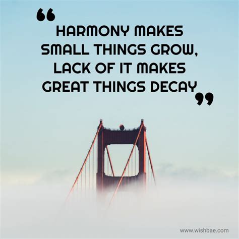 Harmony Quotes That Will Inspire Amity and Positivity Around You