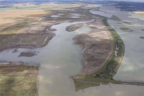 Wallasea Island Wild Coast Project – A landmark conservation and ...