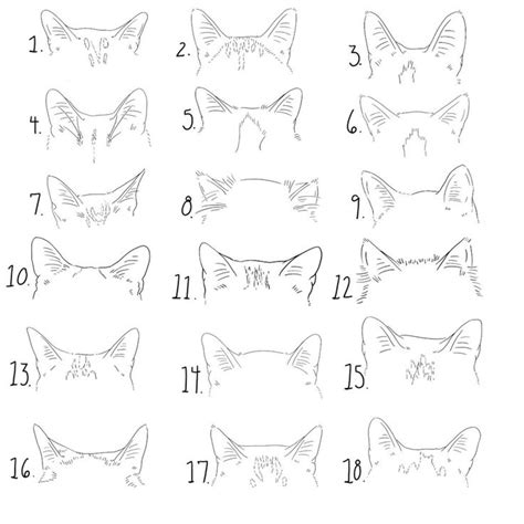 18 Cat Ear Line Drawing Clip Art and Stamps for Procreate - Etsy Canada ...