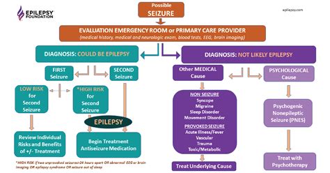 How To Control A Seizure - Skirtdiamond27