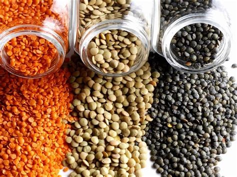 Types of Lentils - Complete List and Guide - Northern Nester