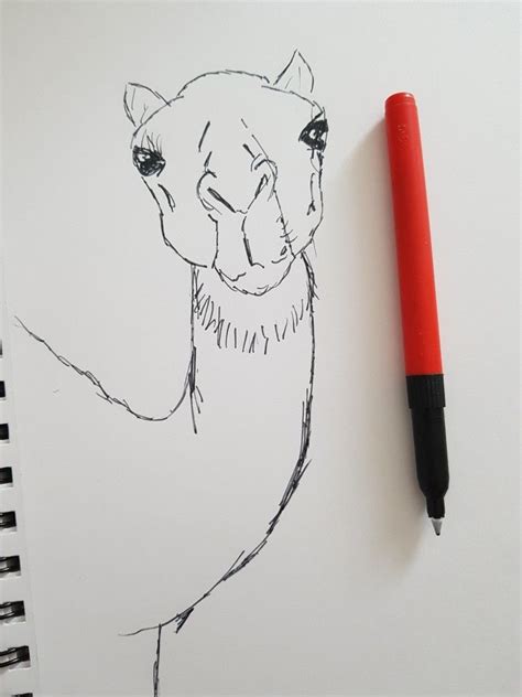 Camel In Desert Drawing at PaintingValley.com | Explore collection of ...