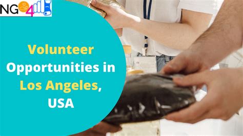 Find Volunteer Opportunities In Los Angeles, USA- Food Banks