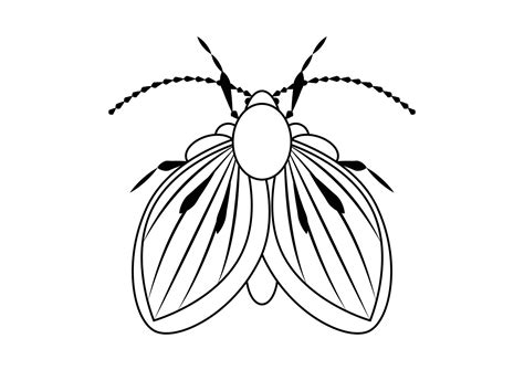 Black and White Moth Fly Insect Clipart. Coloring Page of a Moth Fly ...