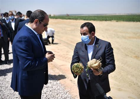 'Future of Egypt' project crucial for sustainable agriculture ...