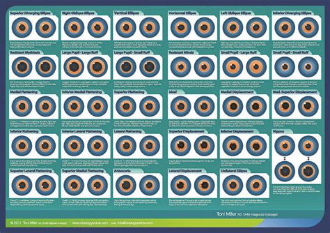 Pupil Size Chart