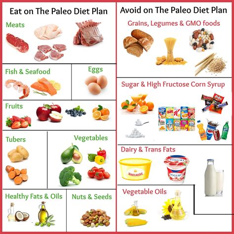 What is Paleo Diet? What foods to eat and avoid on Paleo Diet