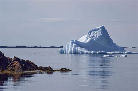 How To Find Icebergs and Other Natural Wonders in Newfoundland - Travel ...