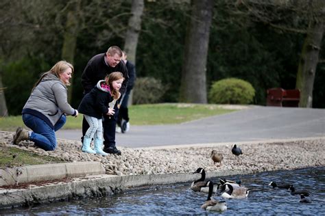 Family by pond feeding ducks | World Obesity Federation