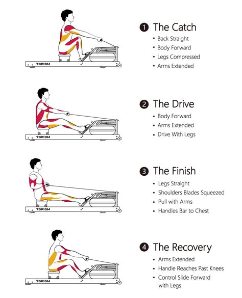 Rowing Machine Benefits - Topiom