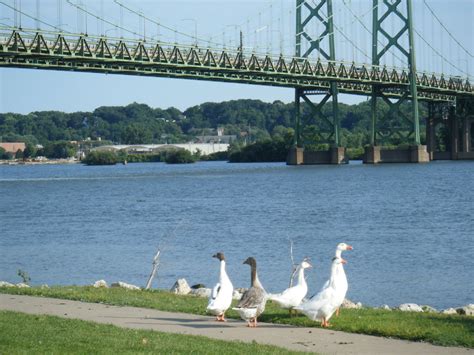 quad cities hotels on river - Queenie Estes