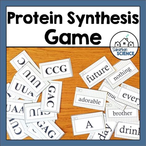 DNA, RNA & Protein Synthesis Activity - Suburban Science