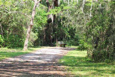 Ruminations: Brazos Bend State Park