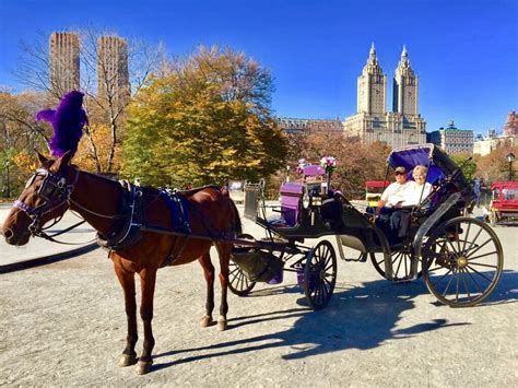 Central Park Carriage Rides | Horse Drawn Carriage NYC