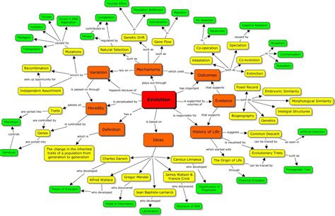 Evolution Concept Map | Evolution concept map, Concept map, Biology lessons