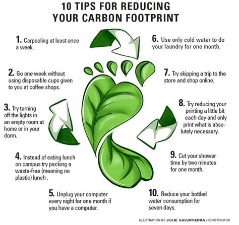 How to reduce your daily carbon footprint – The Sundial