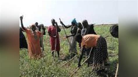 Ngok-Twic conflict hampers agriculture, education: Abyei paramount ...