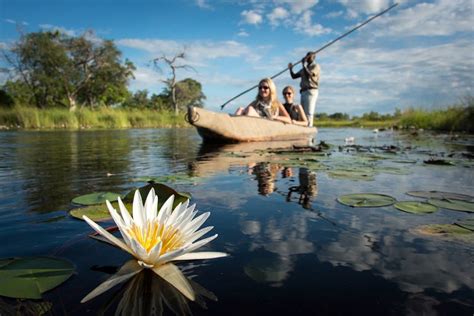 Mokoro safari in the Okavango Delta | Timbuktu Travel