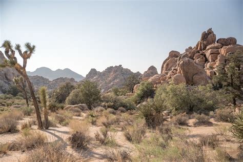 How To Hike The Hidden Valley Nature Trail In Joshua Tree (Epic!)