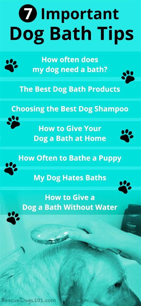 7 Important Dog Bathing Tips | Dog care tips, Dog grooming tips, Dog bath