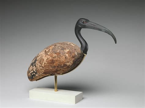 Ibis Egypt 60030 B.C.[4000x3000] | Egyptian art, Egypt, Metropolitan ...