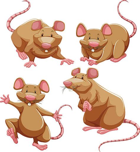 20+ Lab Rats Backgrounds Stock Illustrations, Royalty-Free Vector ...