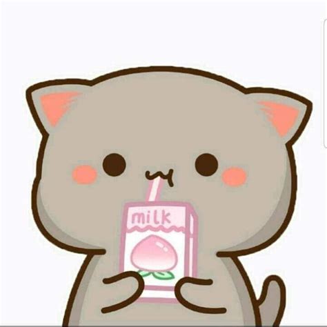 Kawaii Cute Cat Pfp With An Outline - IMAGESEE